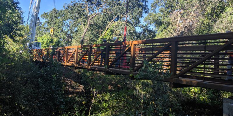 A wooden bridge over the water in a forest.