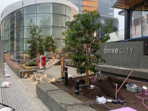 A tree is being planted in front of a building.