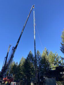 A crane is lifting up the top of a tree.